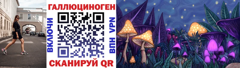 Псилоцибиновые грибы GOLDEN TEACHER  где купить наркотик  Павловский Посад 